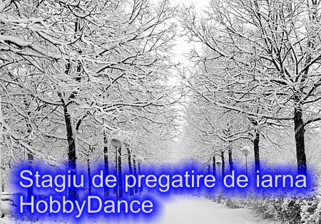 cursuri dans, cursuri de dans, cursuri dans bucuresti, cursuri de dans bucuresti, lectii dans, lectii de dans, lectii dans bucuresti, lectii de dans bucuresti, dans nunta, dans pentru nunta, dans nunta bucuresti, dans pentru nunta bucuresti, vals, Cursuri de dans in Bucuresti pentru copii,dans pentru adulti, Cursuri dans locatie centrala, dans Berceni, dans incepatori si performanta, Dansatori profesionisti evenimente, Club afiliat la Federatia Romana de Dans Sportiv, instructori si antrenori profesionisti dans, Performanta si educatie prin dans, Cursuri de dans in Bucuresti pentru dansul mirilor, lectii individuale de dans cu profesori recunoscuti, Dansul pentru toti, Dansuri latino, dansuri clasice, samba, cha-cha, jive, paso, rumba, tango, vals vienez, slow fox, quick step, sala dans, salon dans, sala de inchiriat, dans sector 3, dans sector 4, dans popesti leordeni, cursuri dans sportiv, cursuri dans bucuresti, cursuri dans popesti leordeni, cursuri dans sector 3, cursuri dans sector 4